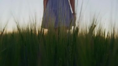 Yavaş çekim, gün batımında tarlada yürüyen çizgili elbiseli kadının yakın çekim görüntüsü.