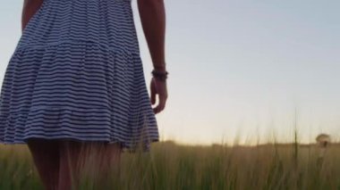Yavaş çekim, gün batımında tarlada yürüyen çizgili elbiseli kadının yakın çekim görüntüsü.