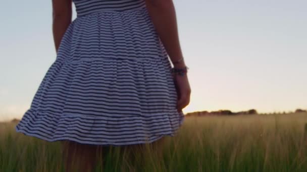 遅い動きは日没時にフィールドを歩く縞模様のドレスで女性の追跡ショットを閉じます — ストック動画