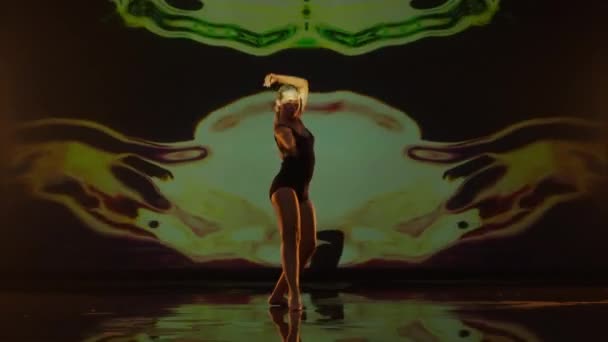 Jeune Femme Artistique Aux Cheveux Longs Dansant Sur Une Scène — Video
