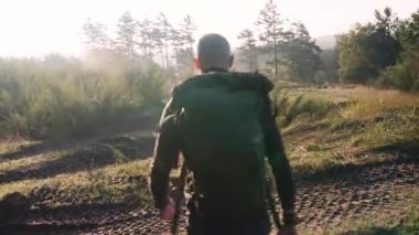Sırt çantalı Kel Adam Ağaçların Arasındaki Kameradan Uzaklaşıyor ve Sabah Güneşinin Yumuşak Işığında Uzun Çimen. Görüntüyü Yukarı Eğ