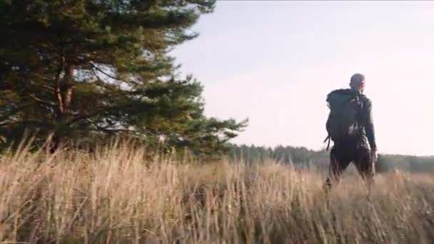 先頭へ戻るバックパックを背の高い草の間で朝の太陽の柔らかな光の中を歩くと 太い頭の男のビュー パンニングショット — ストック動画