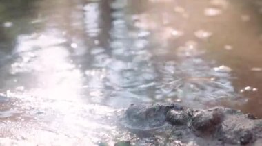 Orman Yolu 'ndaki Su birikintisindeki Ayakkabı Basamakları' nın yakın çekimi. El bilgisayarı görüntüsü