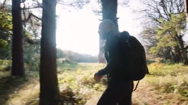 Side View Man Tourist Backpack Vandring Bland Höga Träd Skogen — Stockvideo