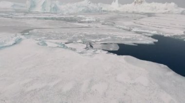 Mavi Deniz Üzerindeki Geniş Gopro Drone Ve Donmuş Grönland 'ın Beyaz Kıyı Çizgisi