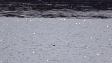 Şehir Limanı 'nın deniz yüzeyinde dalgalar ve güneş patlamaları. Yavaş Hareket Eğilimli Ekran