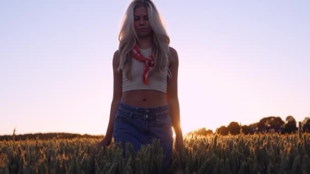 Kaunis Nuori Nainen Kävelee Vehnäpellolla Auringonlaskun Pehmeissä Valoissa Aurinkoa Vastaan — kuvapankkivideo