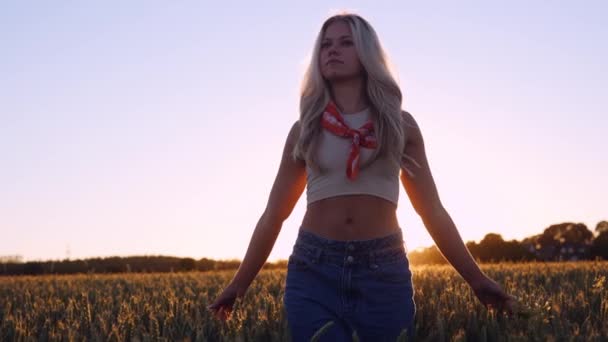 Gün Batımının Yumuşak Işıklarında Güneşe Karşı Buğday Tarlasında Yürüyen Güzel — Stok video
