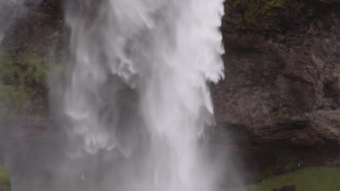 Görkemli Seljalandsfoss Şelalesi. İzlanda 'nın İskoçya' sında göz kamaştırıcı bir manzara. 