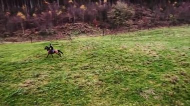 Yeşil Çimenli Çiftlik boyunca Ata Binen Bir Kadının Havası. Önünde Koşan Köpek 'ten sonra dörtnala koşan at. Geniş açı. Kamera Atı İzliyor