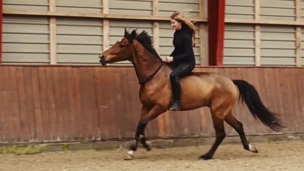 Jeździecka Dama Długimi Blond Włosami Jeździ Konno Galopując Wzdłuż Krytej — Wideo stockowe