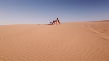 Bikini giymiş genç bir kadının robot resmi ve çölde dört ayak üzerinde uzanan botlar.