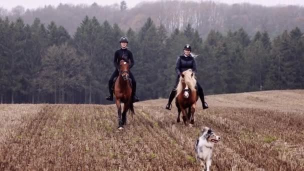 Two Equestrian Ladies Riding Horses Autumn Field Dog Runs Front — Stock Video