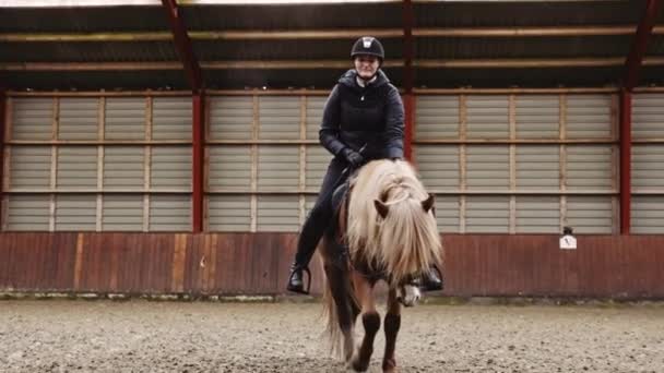 Ιππασίας Lady Φορώντας Μπουφάν Χειμώνα Και Κράνος Ιππεύει Ένα Άλογο — Αρχείο Βίντεο