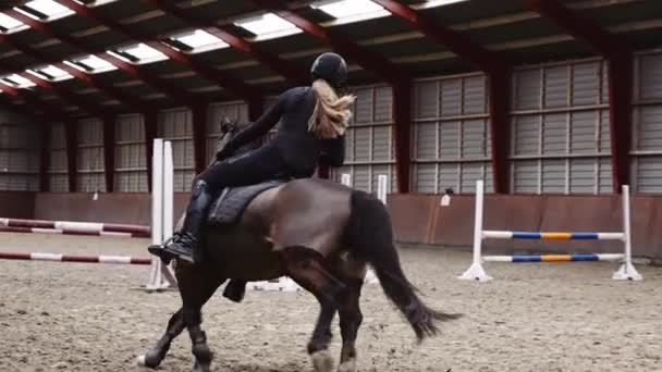Lady Equestre Che Indossa Giacca Invernale Casco Treni Cavallo Galoppo — Video Stock