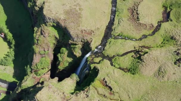 冰岛塞尔亚兰多斯Gljufrabui瀑布周围绿树成荫 — 图库视频影像