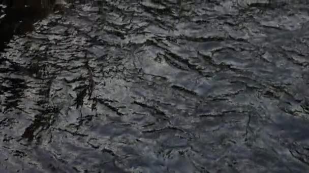 Medium Wide Slow Motion Tilt Aufnahme Des Flusses Seljalands Der — Stockvideo