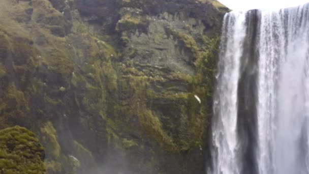 Wide Panning Slow Motion Shot Rocks Flowing Water Seljalandsfoss Waterfall — Stock Video