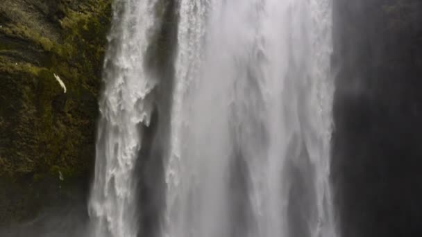 Medium Slow Motion Shot Draaien Naar Beneden Cascades Seljalandsfoss Waterval — Stockvideo