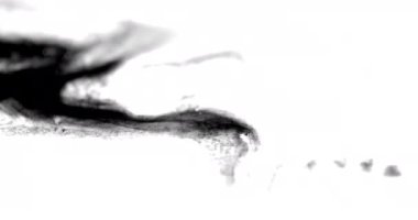 Siyah mürekkep sıçramasının yakın plan çekimleri beyaz yüzeye çarpıyor.