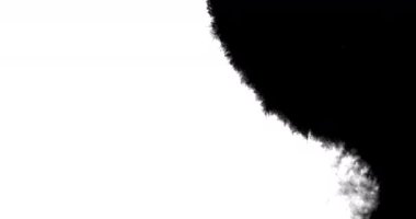 Siyah mürekkep beyaz yüzeye yayılırken yakın plan çekimleri.