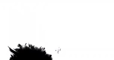 Beyaz yüzeye yayılan siyah mürekkebin yakın plan çekimi.