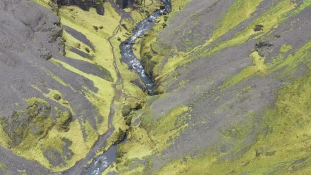 Brede Drone Vlucht Rivier Vanuit Seljalandsfoss Waterval Valley Ijsland — Stockvideo