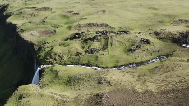 冰岛绿色风景中从河流飞向塞尔贾兰多斯瀑布的宽阔的无人机 — 图库视频影像
