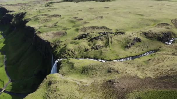 アイスランドの緑の風景の中でSeljalandsfoss滝の上に弧を描く広いドローン — ストック動画