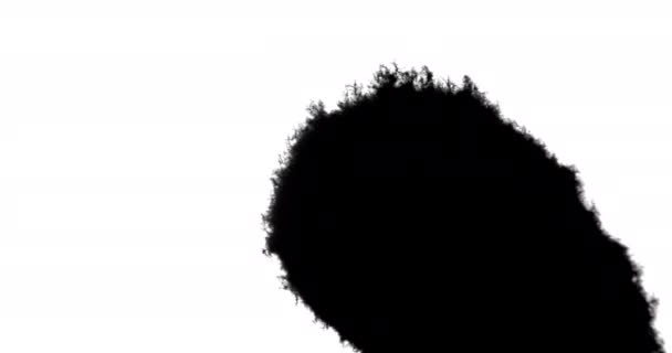 Siyah Mürekkep Beyaz Yüzeye Darbesinin Yakın Çekimi — Stok video