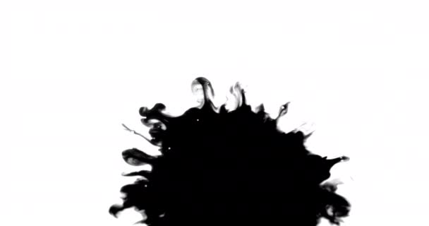 Uzamčení Close Shot Black Ink Splatters White Surface Spreading — Stock video