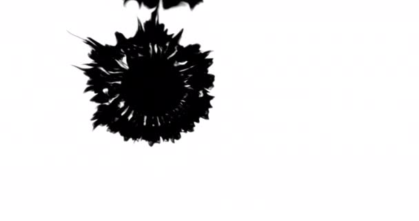 Cerradura Cerca Shot Manchas Tinta Negra Que Extiende Sobre Superficie — Vídeos de Stock