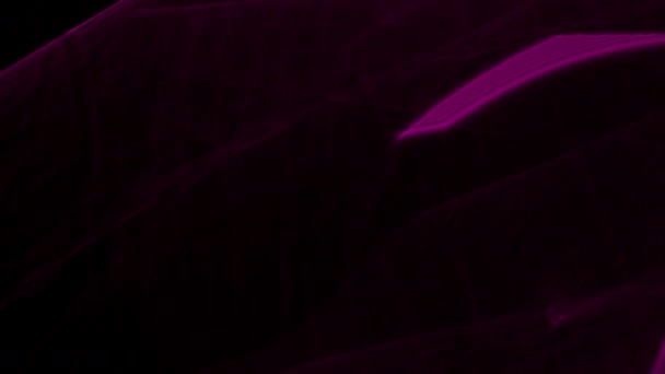 在黑色背景下发光紫外光中移动抽象形状的闭锁 — 图库视频影像