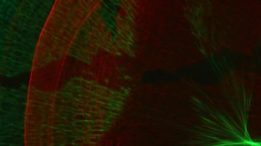 Kırmızı, Yeşil, Strobe, Işıklar, Parlak, Aydınlatılmış