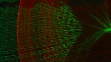 Kırmızı, Yeşil, Strobe, Işıklar, Parlak, Aydınlatılmış