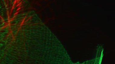 Kırmızı, Yeşil, Strobe, Işıklar, Parlak, Aydınlatılmış