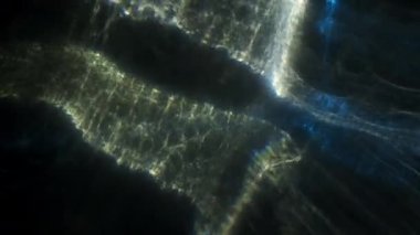 Mavi, Yeşil, Strobe, Işıklar, Parlak, Aydınlatılmış