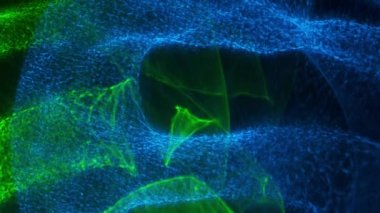 Mavi, Strobe, Işıklar, Parlak, Aydınlık, Yeşil