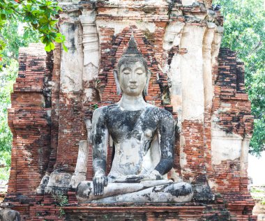 ayutthaya Antik Tapınağı