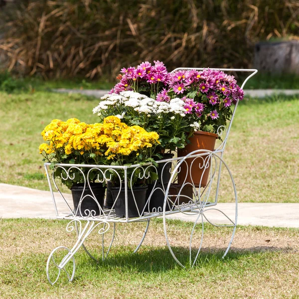 Vaso de argila flor — Fotografia de Stock