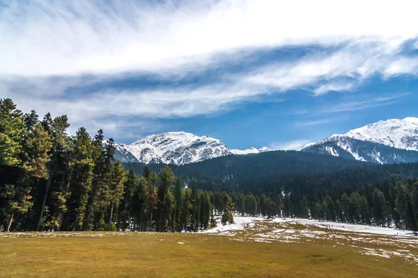 Vale de Pahalgam Imagem De Stock