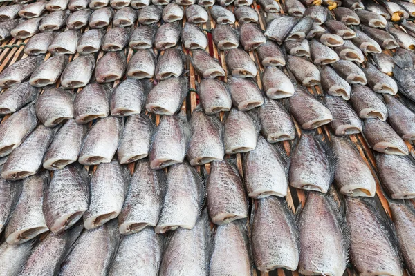 Сухая рыба гурами — стоковое фото