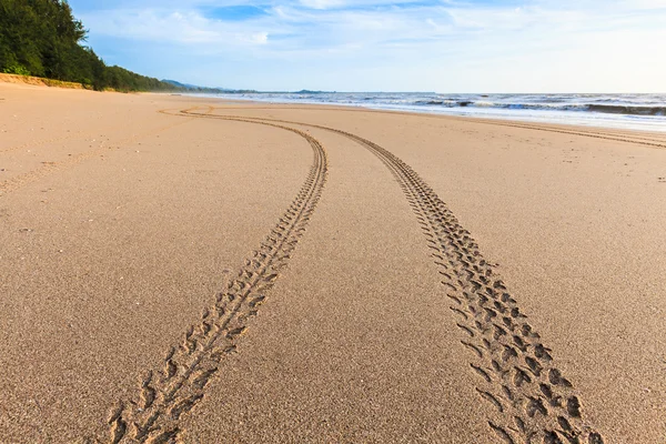 Tracks on the golden sand — Stock Photo, Image