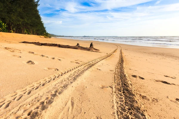 Tracks op het gouden zand Stockafbeelding