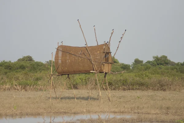 Fågel fälla av thailändsk traditionell stil — Stockfoto