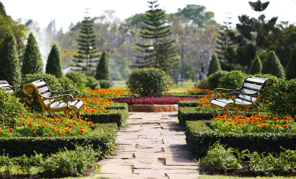 Zwei Bänke im Garten — Stockfoto