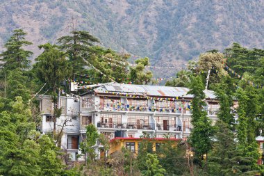 McLeod ganj, dharamsala, himachal pradesh, Hindistan.