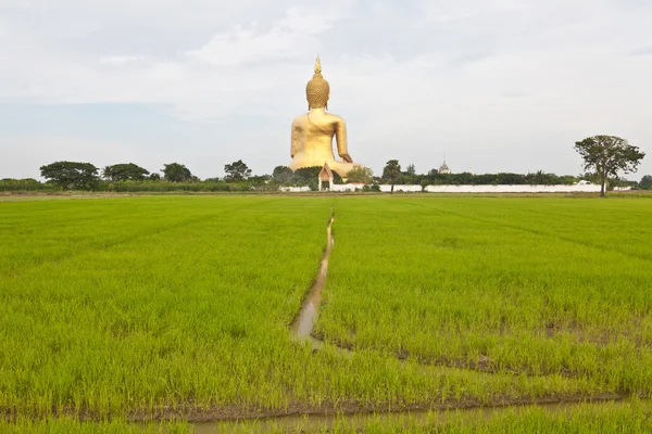 Stor buddha staty — Stockfoto