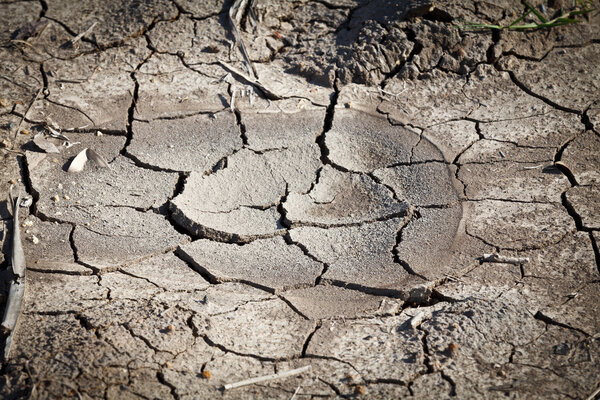 Сухая почва трескается под палящим солнцем

