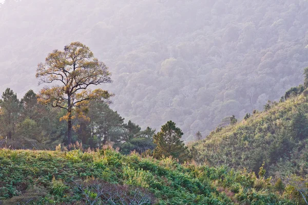 Ponto de vista nas montanhas — Fotografia de Stock